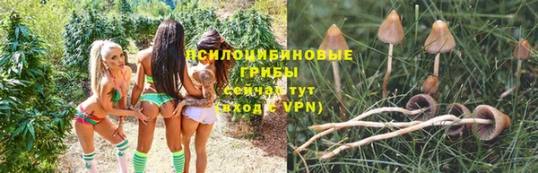дурь Волосово