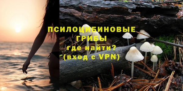 дурь Волосово