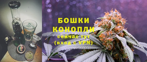 дурь Волосово